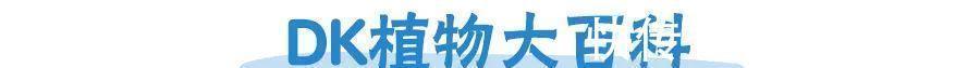 恐龙世界@DK图书大盘点第一季:少儿百科类