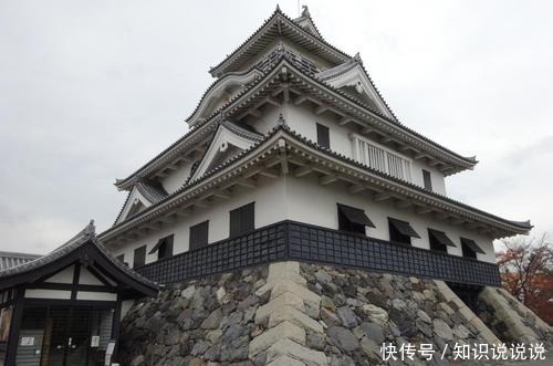 斋藤道三|“文武名将,惊天叛逆”,明智光秀的天下野心