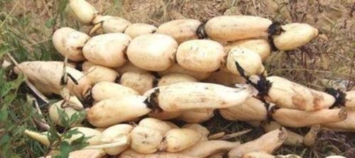 排毒养颜|女性到中年,常吃养生食物,降压排毒,延缓衰老,吃了肌肤好