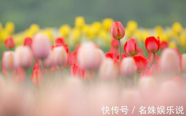 孩子|孩子,我不欠你的吃不吃读书苦,决定你以后靠脑子还是靠力气吃饭