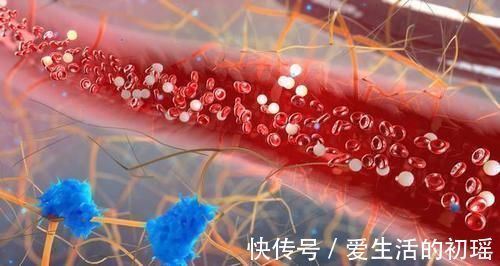 |搞笑外国人:在监狱不允许吃零食,这对吃货来说该怎么办呢?