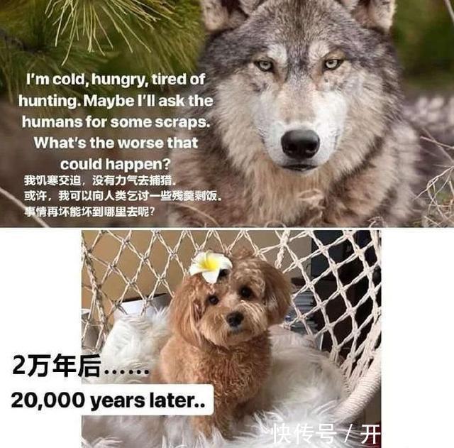 |我研究了近20年的泡妹教程 冷段子1404 & 去年今日1094