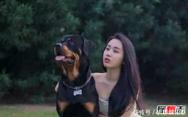 世界十大最优秀的护卫犬德国牧羊犬仅第七 藏獒上榜 快资讯