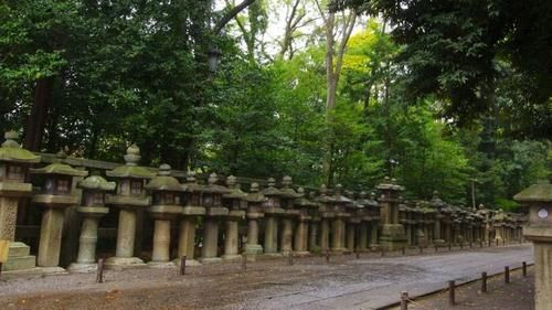 探访|探访日本皇室国宝宗庙，体验登山小缆车，发现不一样的金色鸽子