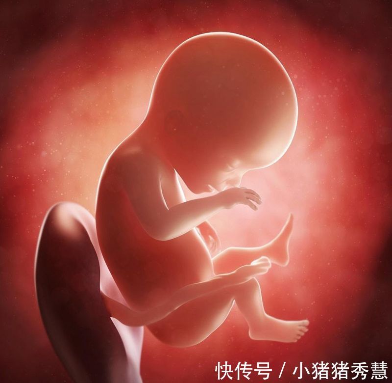 孕妈们|胎儿“畸形”高发期,一般发生在这个时间段,过了孕妈就可以放心