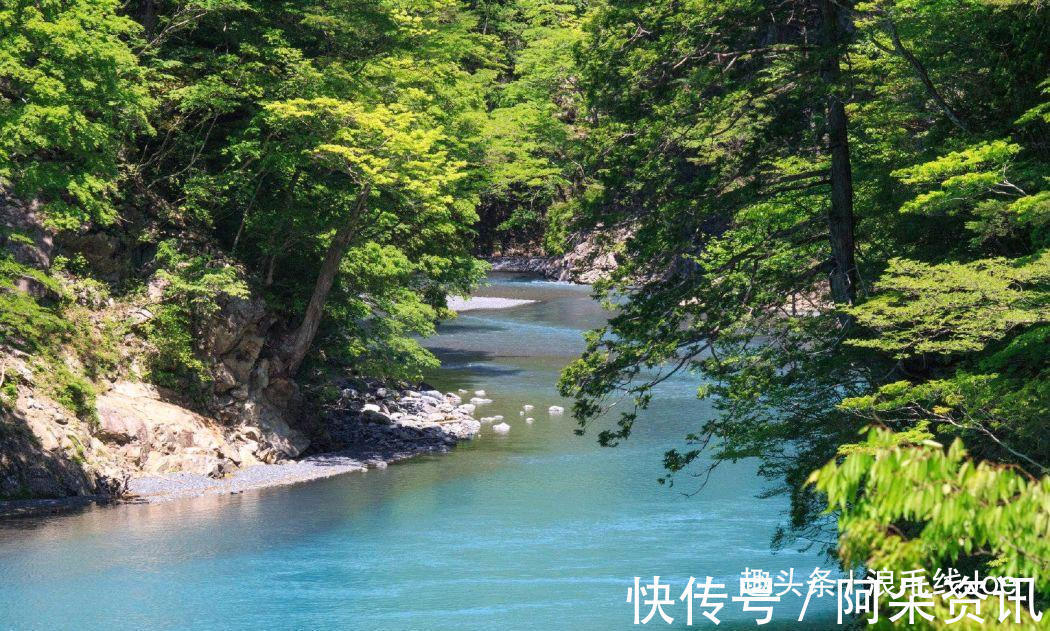 吊桥|寸又峡：日本无人问津的大山里，私藏着温暖与彩林共存的绝美景色