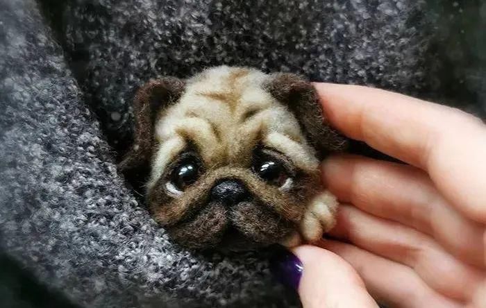 艺术家@逼真到极致的毛毡作品,毛茸茸的小动物,把心都融化了