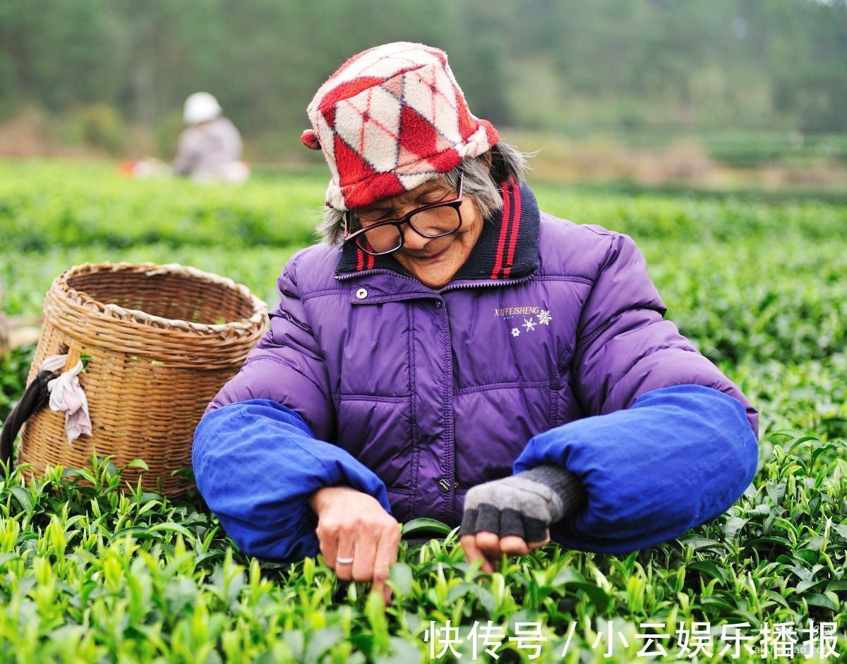 健康长寿|长寿人的5大养生秘诀，喝水排第四，第五个很多人做不到