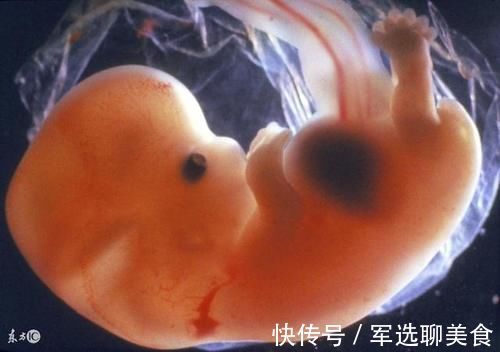 胚胎|小孩一周到四十周，怀孕的胎儿是怎么变化的？