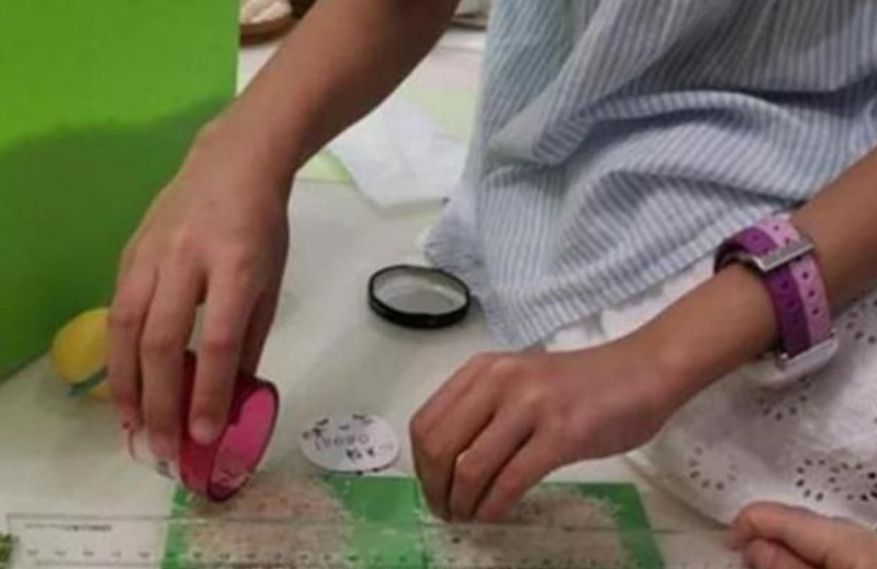 娃数|“老师让带1万颗豆”, 宝妈陪娃数到半夜,质问老师反遭“打脸”