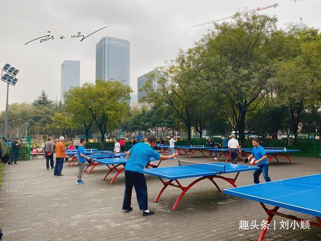 唐城墙遗址|西安高新区“最霸气”的公园，就建在唐城墙遗址上，游客却还不多