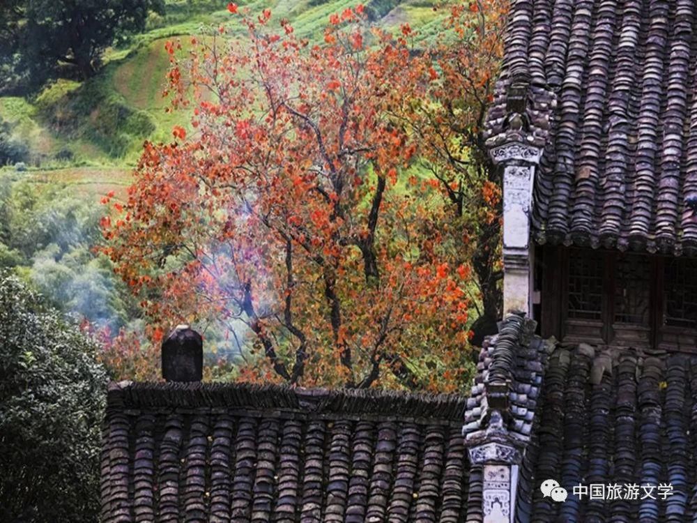 婺源篁岭及程村