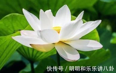 林徽因$徐志摩很少见的一首诗，林徽因也没读过，却意象鲜明，情动辞发