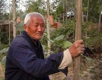 生气|104岁老人的长寿秘诀既吸烟又喝酒,却唯独不碰这一东西