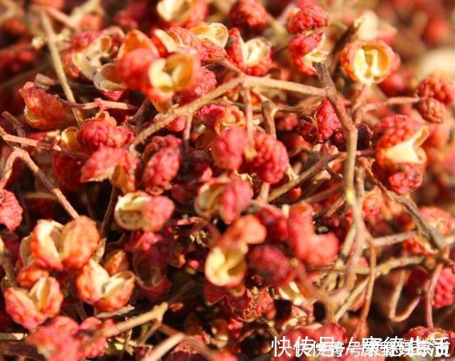 晓峰|炖鸡汤，记住放“1白1黄1红”，炖出的汤汁浓郁不油腻，无腥味