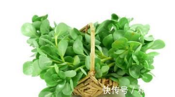 口服降糖药|10种植物是糖尿病的天然克星，效果最好的确被当垃圾扔掉