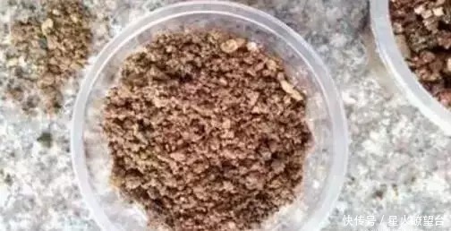 养花盆土板结,一点这玩意扔盆里,盆土肥沃透气,花长得可快了