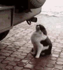 |搞笑GIF:美女,伤心也不能这样啊,很容易感冒的!