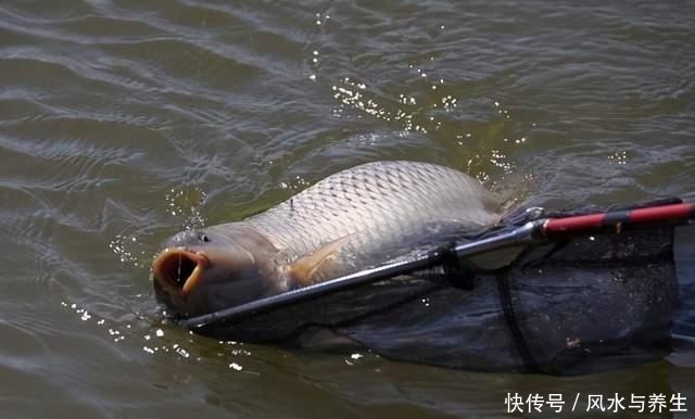 钓到大鱼第一步,你得先找到符合这两点特征的水域