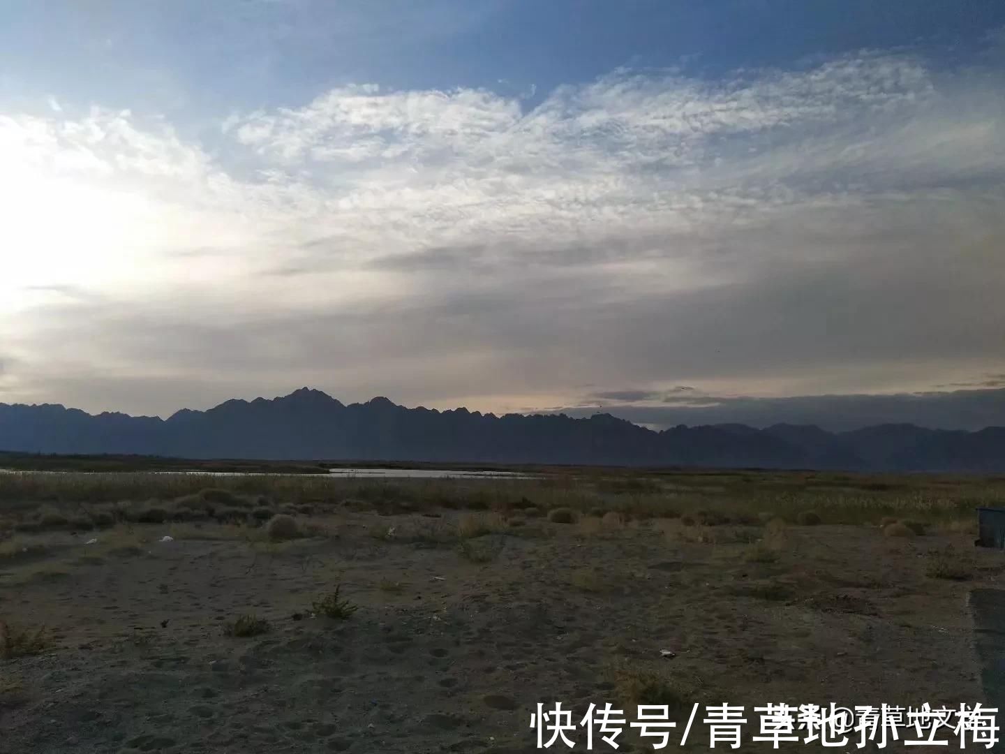 梭梭林@屠申泽，今日芦花又飞雪(组诗)