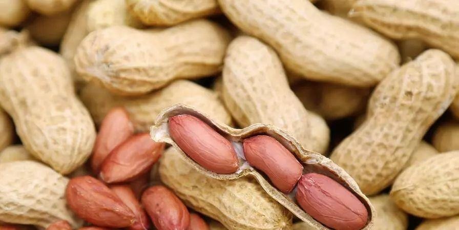 长寿菜|它是排行第一的长寿菜, 竟然好多人不知道! 天天都能吃, 家家都有!