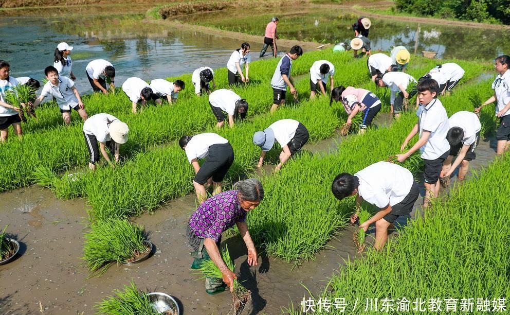 高考|教育新融媒：追赶六月骄阳，奋斗青春理想，送给高三学子