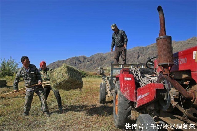 撤销|全国唯一一个还没被撤销的兵团300万人,建造了14个兵团城市