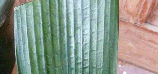 慌张|3岁孩子拿起菜刀冲向阳台，妈妈慌张跟踪一瞧，顿时满脸无奈