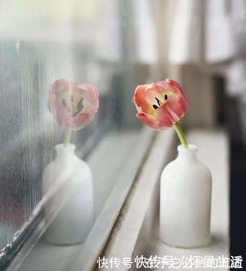 二氧化碳|晚上睡觉要不要关卧室门窗?纠结了这么久,终于知道了