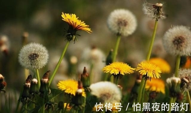 日子|这个夏天，气势如虹，越来越好的生肖，日子贵人扶持，财大气粗