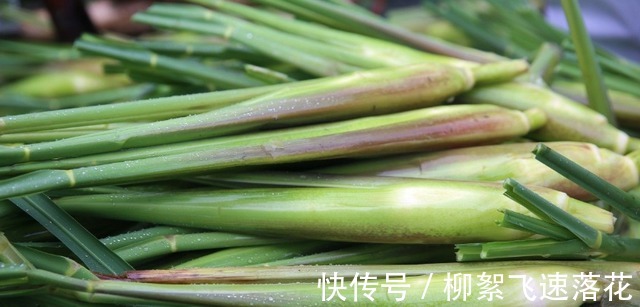 清热|秋天,多吃4种“水生菜”,清热润肺降秋燥,应季而食身体好!