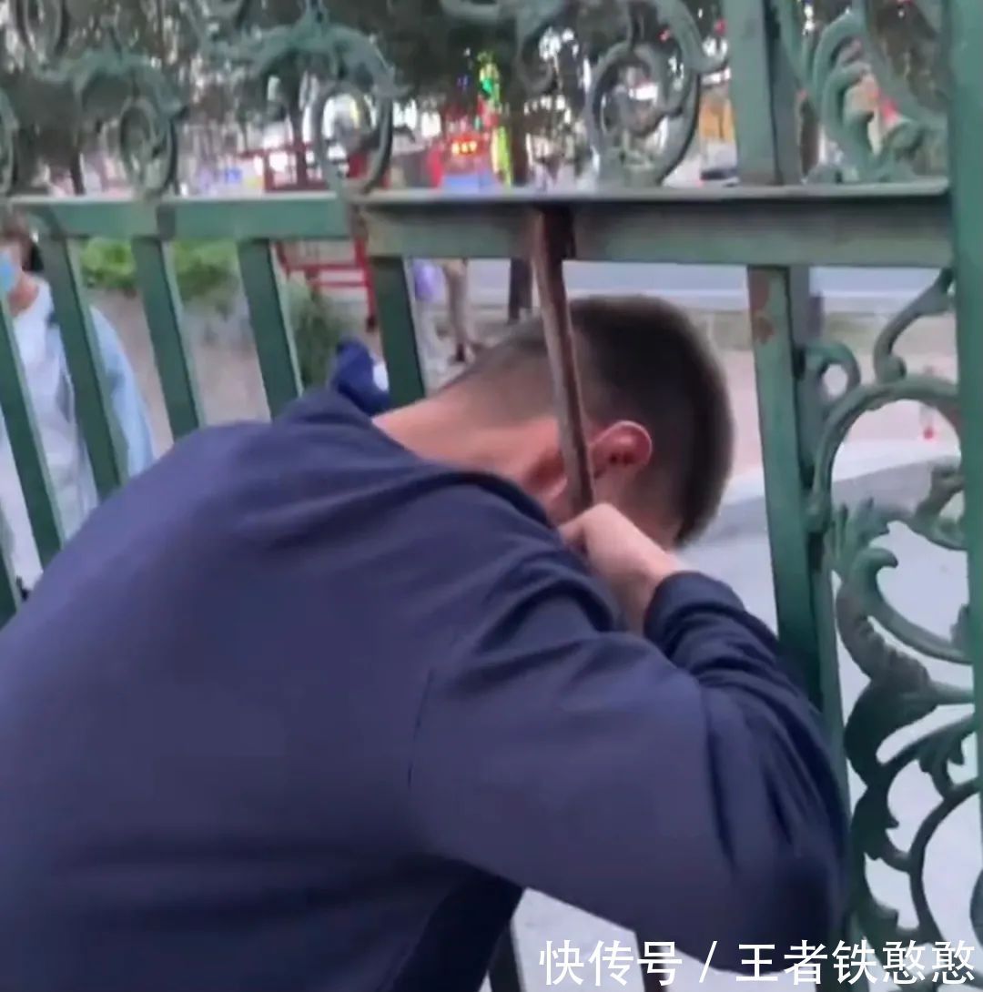 |搞笑图片:三人行,必有一狗