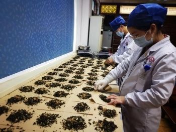 中医药|抢速度，强力度，拓广度！杭州中医药再发力