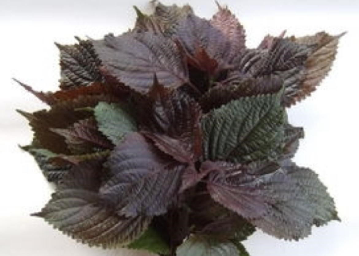 女儿|夜里睡觉不盖被子,女儿着凉流鼻涕,我这样做