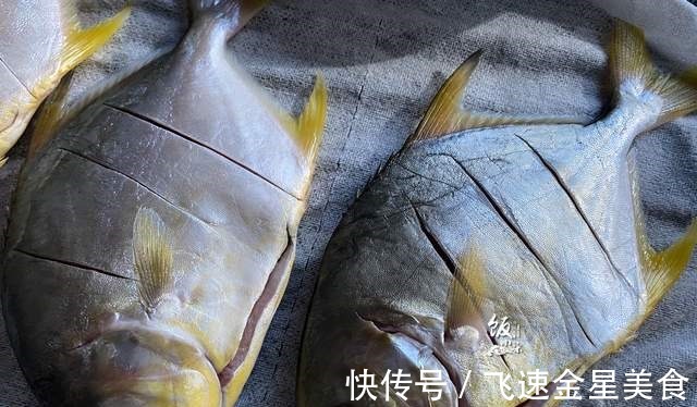 猪油|禁渔期，这鱼却只要10元1斤，别错过了，刺少营养高，适合小孩吃！