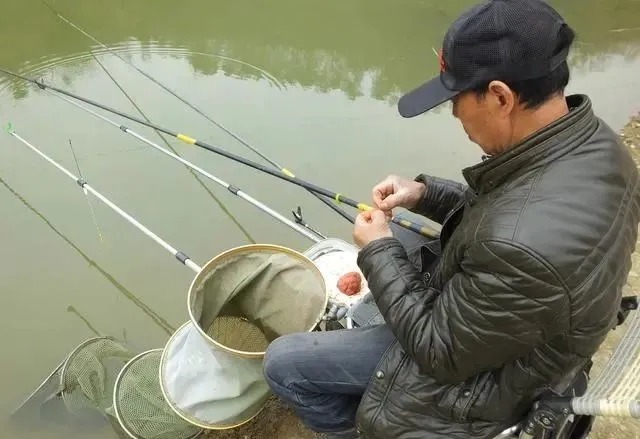 鲫鱼最爱的饵料不在渔具店,而在菜市场,这3样东西混合就可以