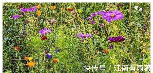 旧爱|近几天，月老牵绳，旧爱重逢，邂逅良人，破镜重圆，人间蒸发