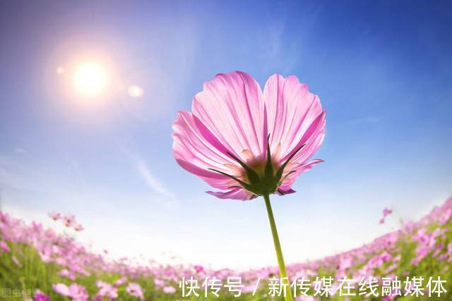 西王母@刘存锁诗歌欣赏:泾汭依恋阳光(组诗)