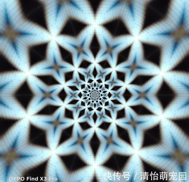 oppo|微观世界有多神奇？在肉眼不可见的景色里，竟然藏着另一个春天