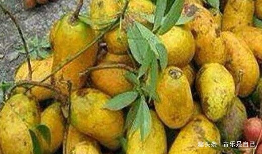 食物|女人爱美,常吃4种食物,健胃消食,清肝明目,预防心血管疾病