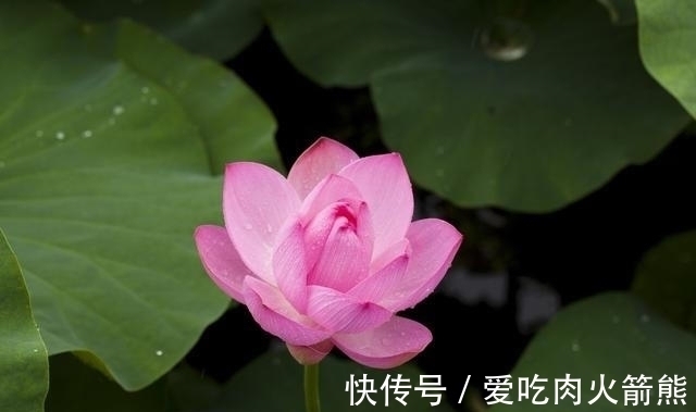 摩羯座|好运来了,下个星期起,处处逢喜事,财运得改善,金库满溢