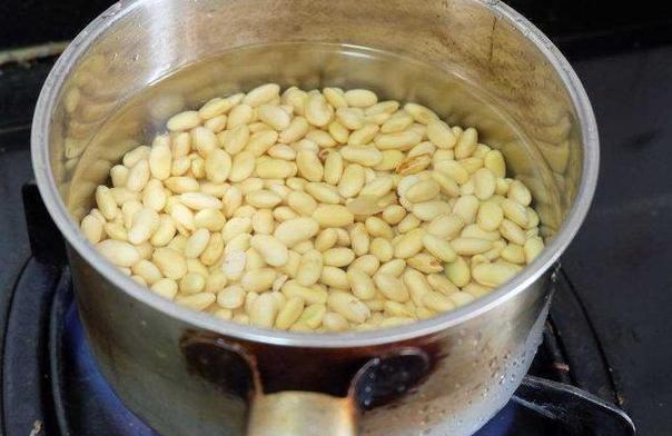 家家户户都有的黄豆，该如何制成''长个肥''酵熟、兑水、浇花