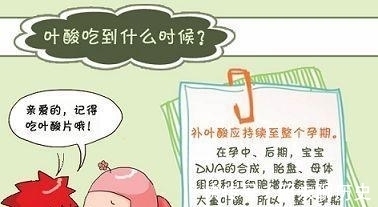 叶酸|对于不同价格的叶酸备孕期及怀孕后如何选择?男女都需要服用吗?