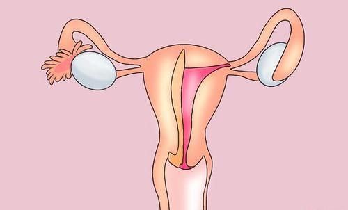 女性|身为女性，体毛却很多，与什么有关？能不能经常刮呢？一文详解