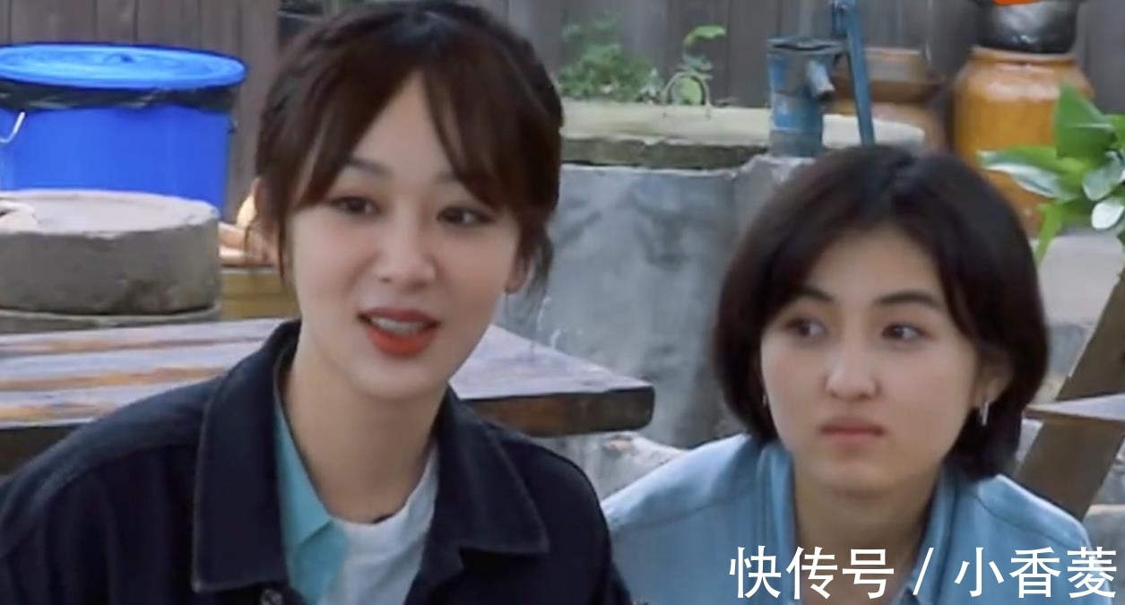 up|杨紫，求你可别再上《向往的生活》了
