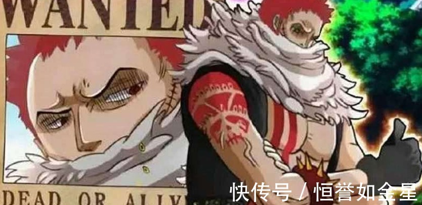 卡塔库里|海贼王三灾对抗三将星，孰强孰弱网友只有卡塔库里能一战