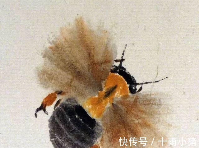 白石老人@齐白石画的小虫子,放大5倍以上欣赏,翅膀上的脉络真实细腻!