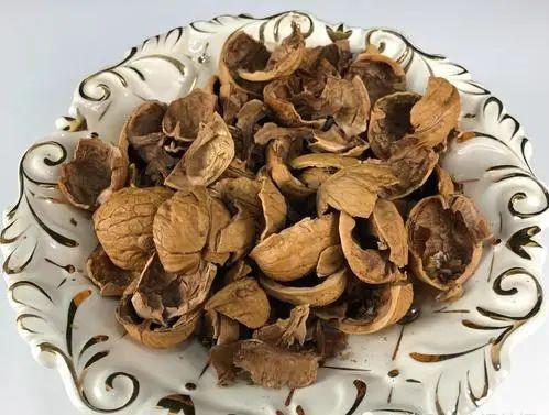 君子兰的土里掺点“它”,10年不烂根,越长越壮实