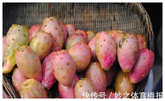 墙头|长在农村墙头的野果,酸甜可口,想吃还得看缘分,有钱也难买到