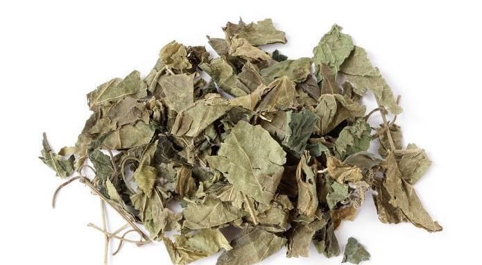 肾精|治白发最好用的方子，仅2味药补足肾气、养足气血！头发乌黑靓丽